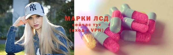 стафф Арсеньев