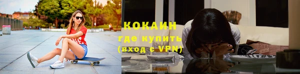 стафф Арсеньев